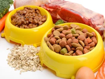 Can You Mix Wet and Dry Dog Food? Vet-Verified Pros & Cons