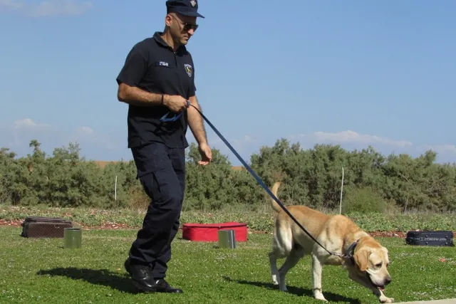 How Long Does It Take to Train a Police Dog? Age & Duration Explained