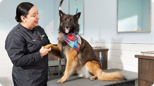 PetSmart Grooming
