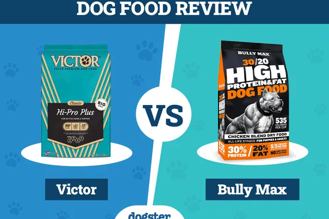 Victor Dog Food vs Bully Max: Our 2026 Comparison - Pros, Cons & What to Choose