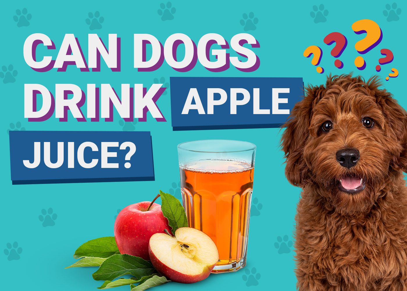 Can Dogs Drink Apple Juice? Vet-Verified Nutrition Facts & FAQ