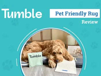 Tumble Rug Review 2026: An Expert’s Breakdown