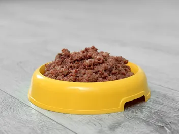 Sodium Selenite in Dog Food: Vet-Verified Nutrition Info, Risks & FAQ