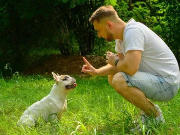How to Train a Dog to Stop Barking on Command: 7 Vet Approved Steps for Teaching