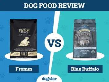 Fromm vs Blue Buffalo Dog Food: 2026 Comparison, Pros & Cons