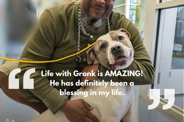 Pets for Patriots: Helping People Save Pets, and Pets Save People - Heroes of the Pet World