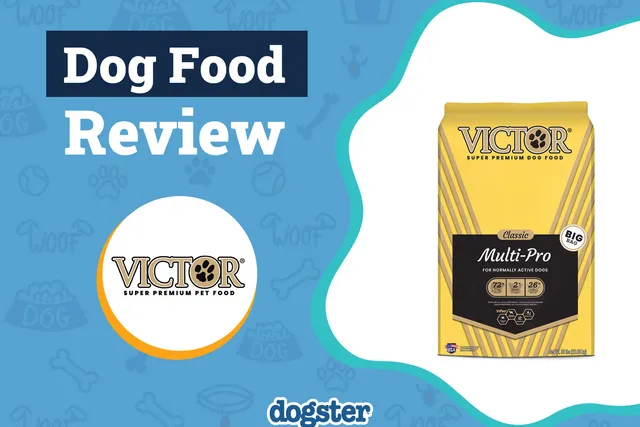 Victor Dog Food Review 2026: Pros, Cons, Recalls & FAQ