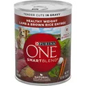 Purina ONE SmartBlend True Instinct