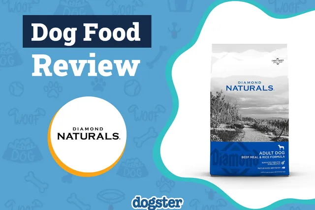 Diamond Naturals Dog Food Review 2026: Pros, Cons, Recalls & FAQ