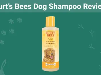 Burt’s Bees Dog Shampoo Review 2026: Our Expert's Opinion