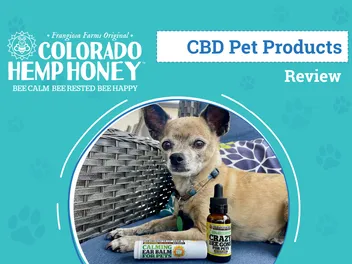 Colorado Hemp Honey Review 2026: An Expert’s Breakdown