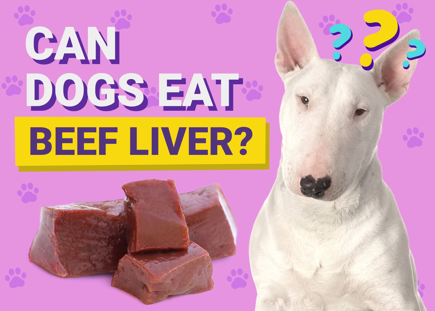 Can Dogs Eat_Beef Liver