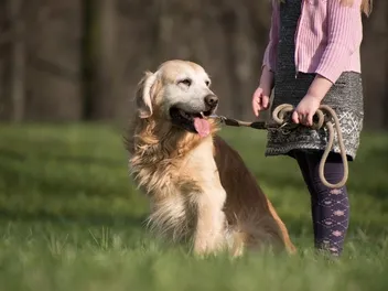 10 Reasons Why Pets Are Great for Kids: Vet-Reviewed Facts & FAQ