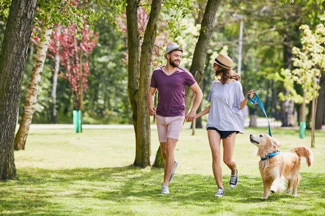 Dating With Dogs: 9 Good Reasons to Date a Dog Owner