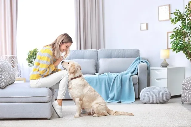 How to Start a Pet-Sitting Business in 11 Steps (2026 Guide)
