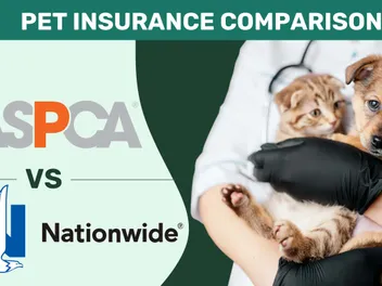 ASPCA vs. Nationwide Pet Insurance Comparison 2026: Pros, Cons, & Verdict