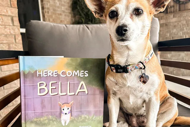 The Little Chihuahua Who Walked Into Our Lives When We Needed Her Most