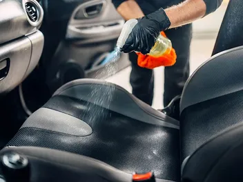 How to Clean Dog Drool Off Car Interior: Cleaning Options & Tips