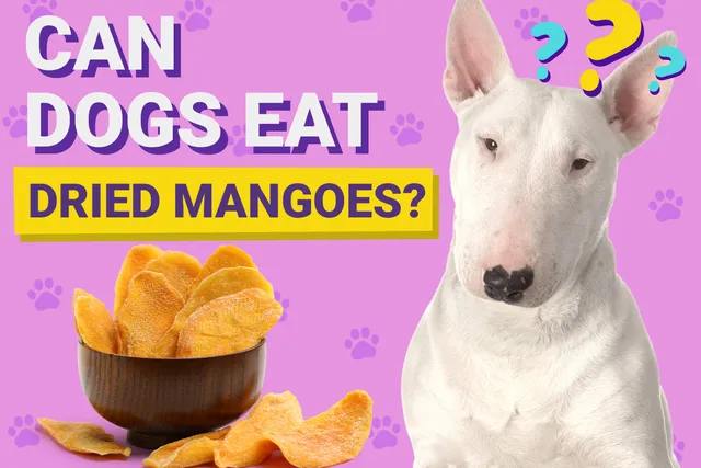 Can Dogs Eat Dried Mangoes? Vet-Verified Nutritional Info & Risks