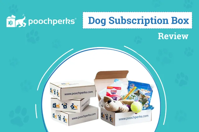 Pooch Perks Dog Food Subscription Review 2026: Our Expert’s Opinion