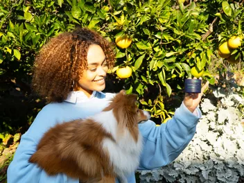 How PetLabCo.’s ProBright® Advanced Supports Canine Dental Health