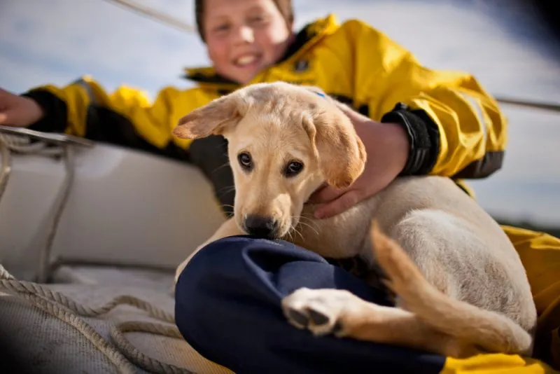 boy and puppy on the boat