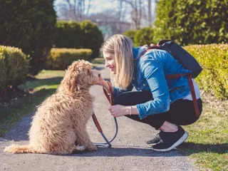 How to Entertain Your Dog: 34 Easy & Fun Ways