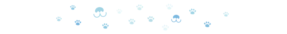 Dogster divider_v2_NEW_MAY_24_