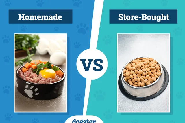Homemade Dog Food vs Store-Bought: Vet-Verified Pros & Cons