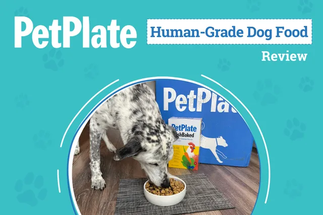 PetPlate Dog Food & Supplement Subscription Review 2026: Door Delivery For Your Pup Made Fresh