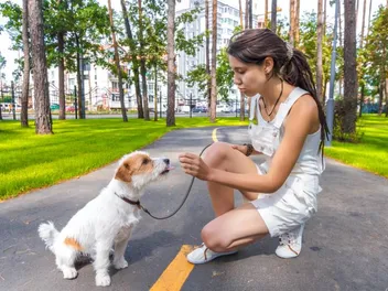 14 Amazing Off-Leash Dog Parks in Albuquerque, NM You Can Visit Today