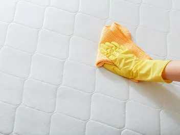 How to Get Dog Pee Smell & Stains Out of a Mattress: Expert Tips & Tricks