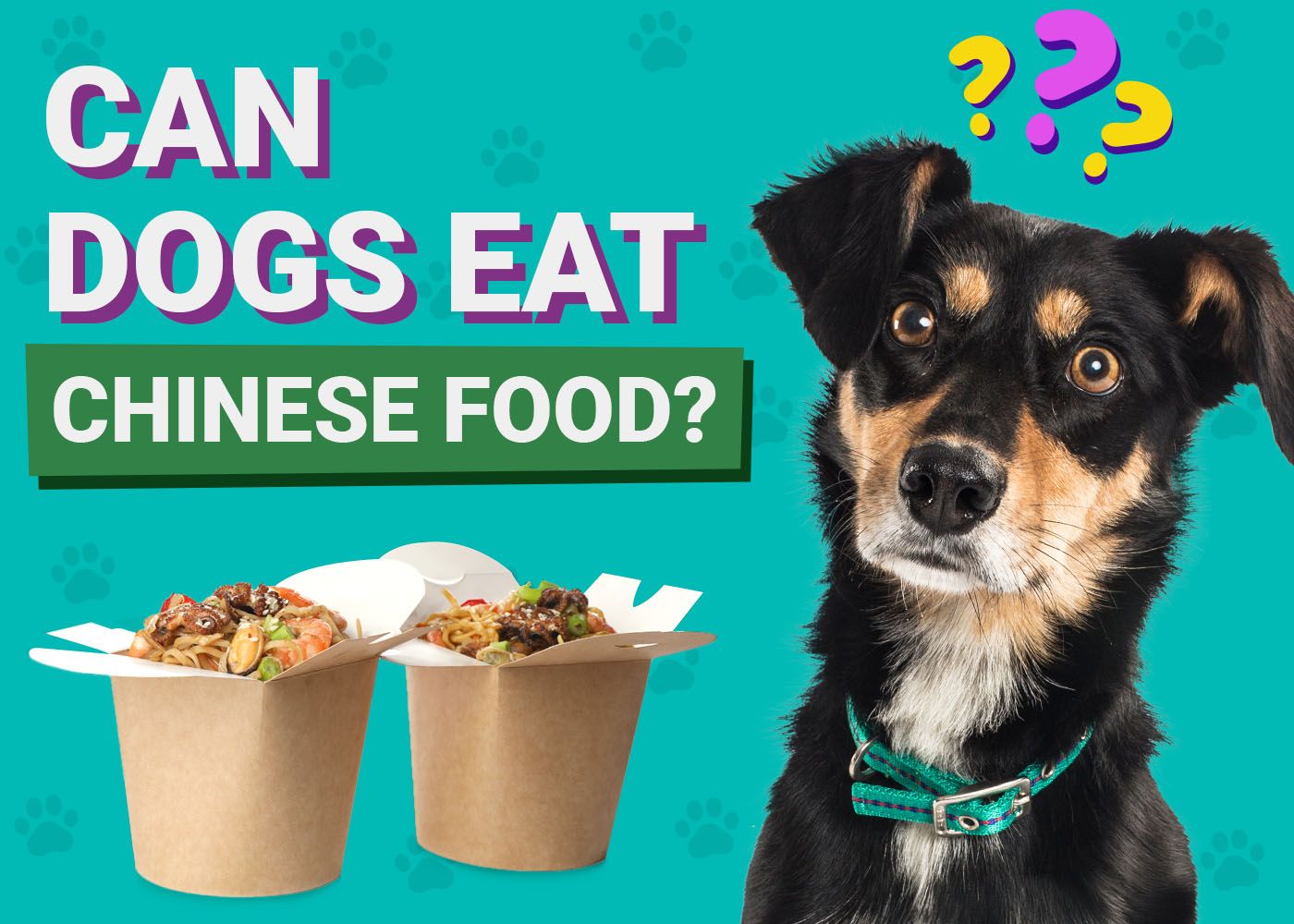 Dogster-Can-Dogs-Eat-Chinese Food