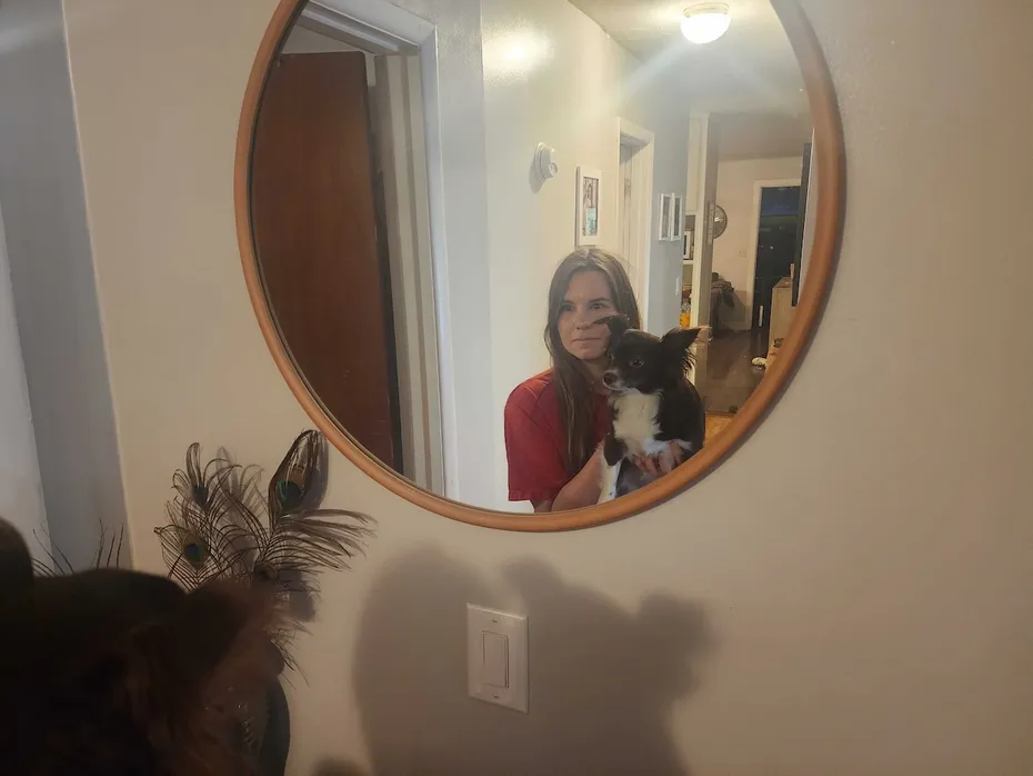 Success! Penny looking at her reflection
