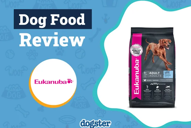 Eukanuba Dog Food Review 2026: Pros, Cons & Recalls