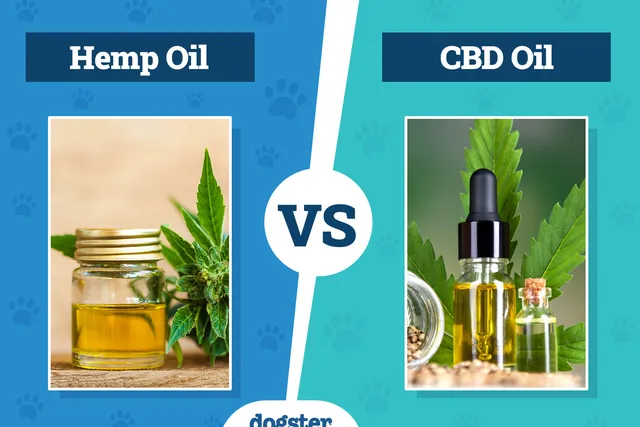 Hemp Oil vs CBD Oil For Dogs: Vet-Reviewed Differences