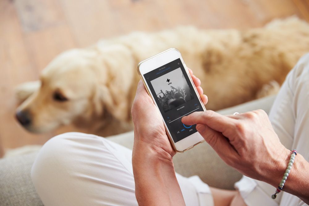 woman playing music with her dog at home