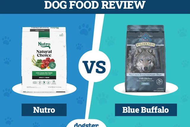 Nutro vs Blue Buffalo Dog Food: Our 2026 Comparison