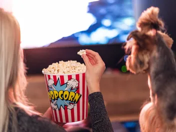 10 Halloween Dog Movies to Watch With Your Pup in Spooky Season