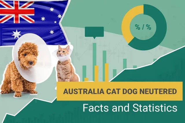 How Many Dogs & Cats Are Neutered in Australia? 16 Statistics in 2026