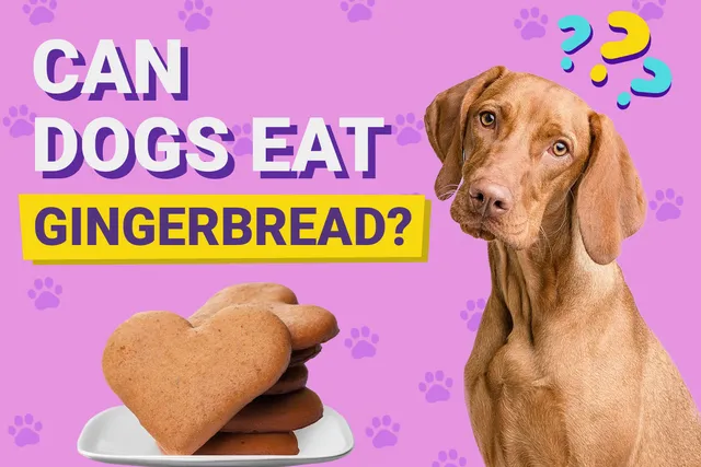 Can Dogs Eat Gingerbread? Vet-Verified Nutrition Facts & Safety Guide