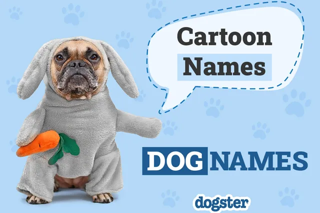 250 Cartoon Dog Names for Real-Life Goofy Pups