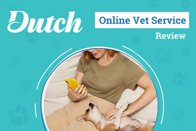 Dutch Online Veterinarian Service Review 2026: An Expert's Breakdown