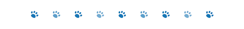 divider dog paws 2 oct 2024