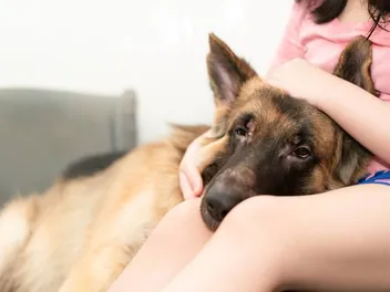 How to Check Your Dog's Vital Signs At Home: 5 Vet-Reviewed Steps