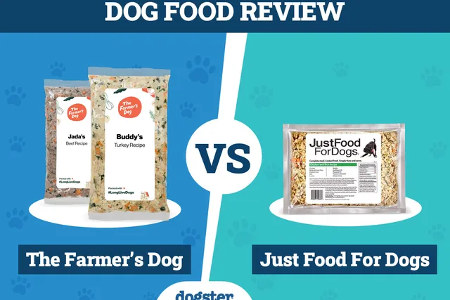 The Farmer’s Dog vs Just Food For Dogs: 2026 Comparison, Pros & Cons