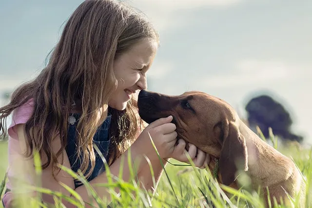 Are Rhodesian Ridgebacks Good with Kids? History, Tips & FAQ