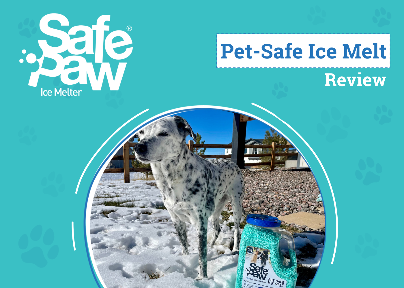Safe Paw Ice Melter Review - featured image