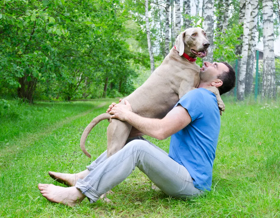 Happy man and his dog in summer