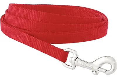 Frisco Solid Nylon Dog Leash